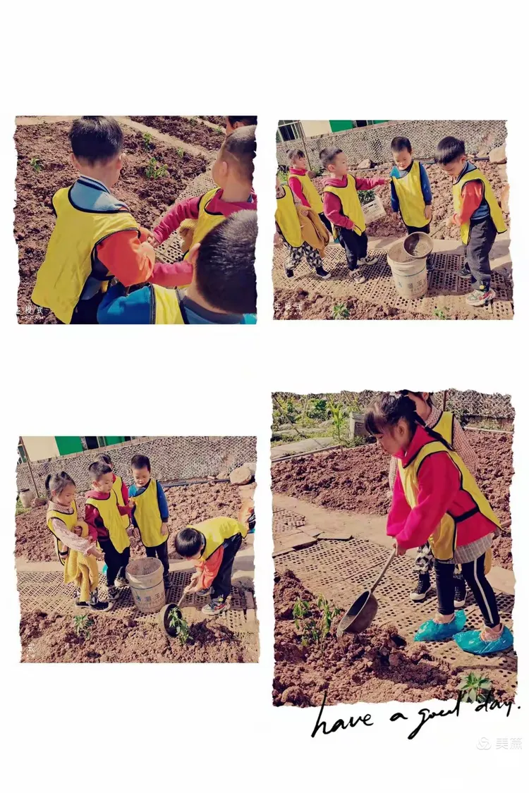 播种希望——收获快乐